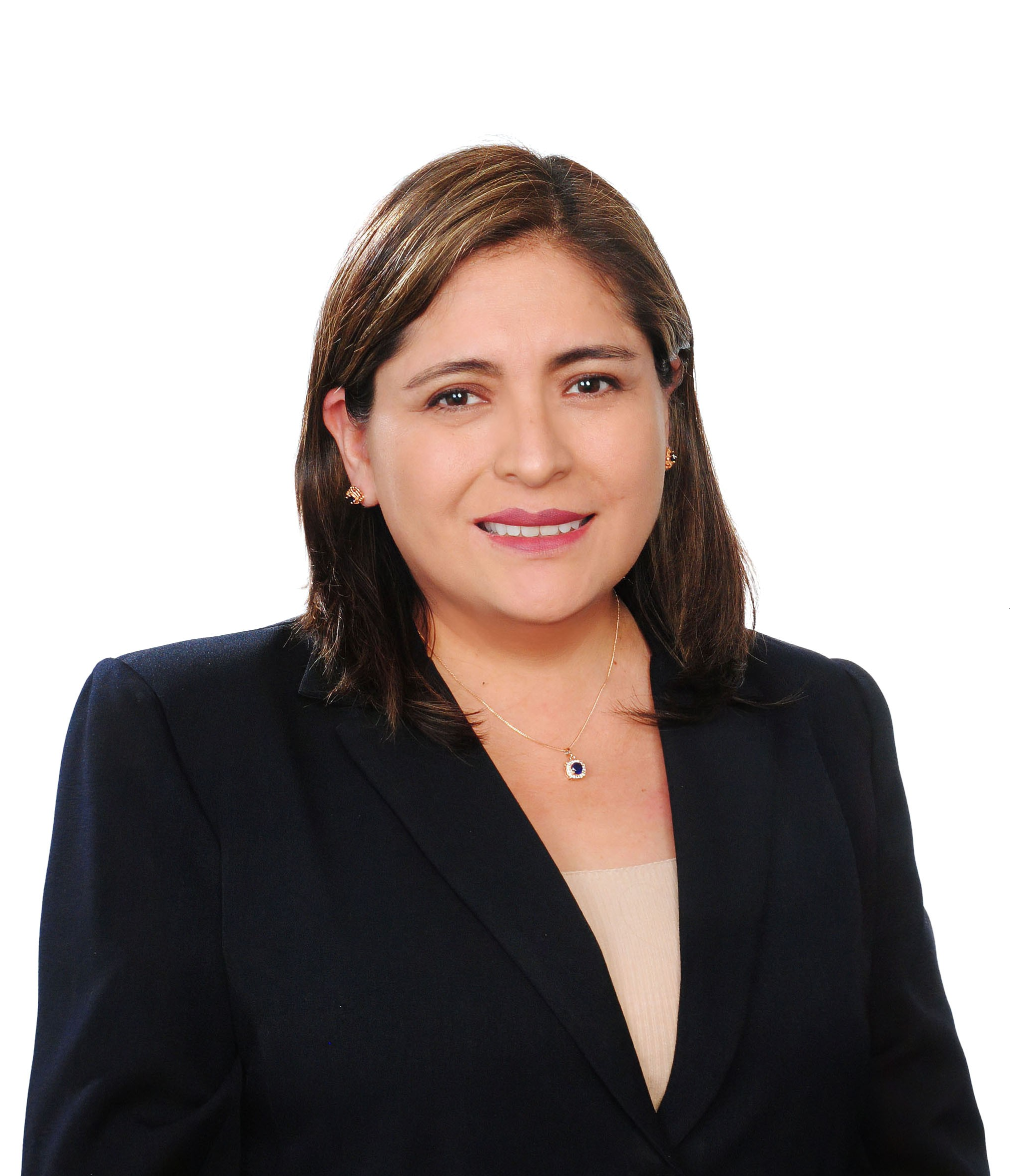 Autor:  Dra. Mery  Bahamonde Quinteros